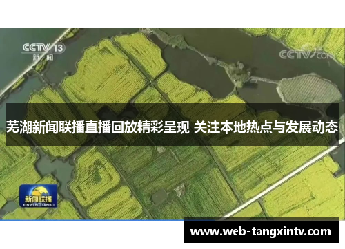 芜湖新闻联播直播回放精彩呈现 关注本地热点与发展动态