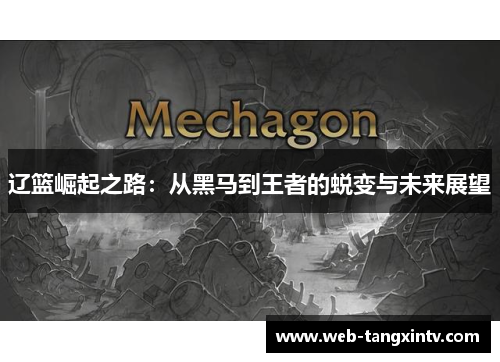 辽篮崛起之路：从黑马到王者的蜕变与未来展望